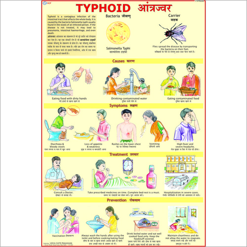 Typhoid Treatment Chart