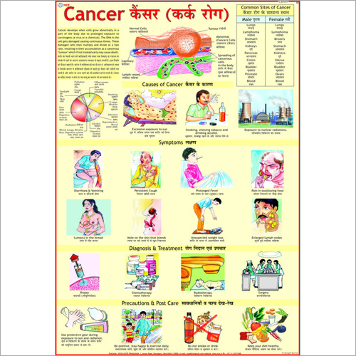 Cancer Causes Chart