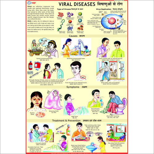 Viral Diseases Treatment Chart Dimensions: 70 X 100 Centimeter (Cm)