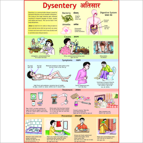 Dysentry Symptoms Chart