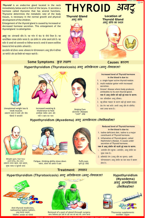 Thyroid Chart