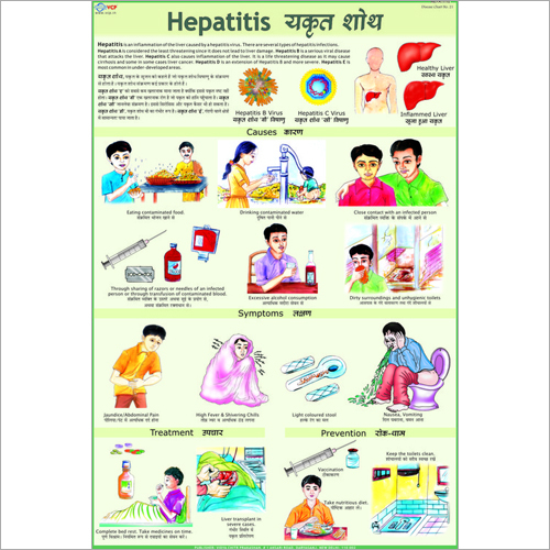 Hepatitis Chart