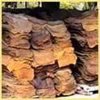 Natural Rubber Compound