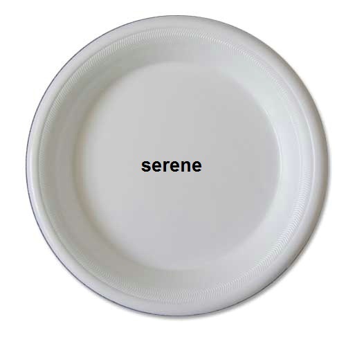 Snack Plates