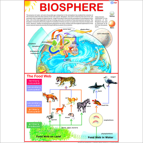 Biosphere Chart