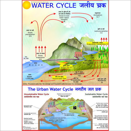 Water Cycle Chart Dimensions: 70 X 100  Centimeter (Cm)