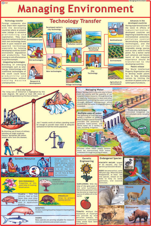 Managing Environment Chart