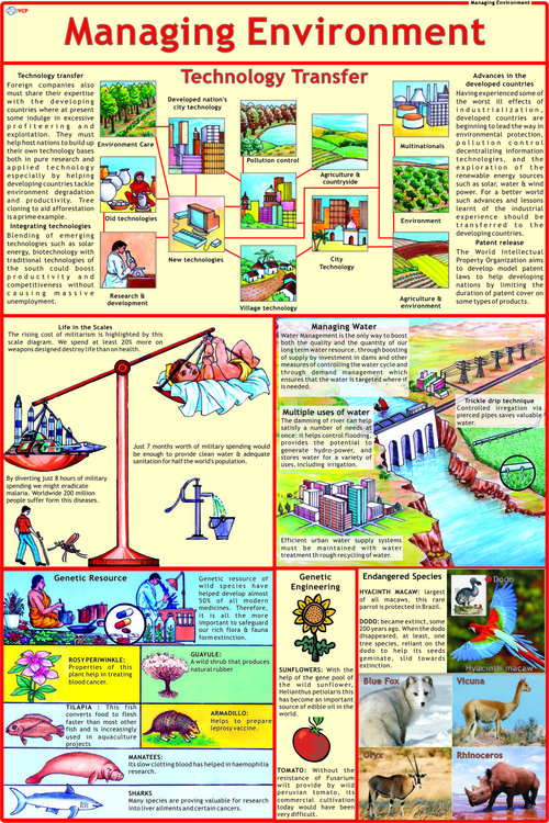 Managing Environment Chart