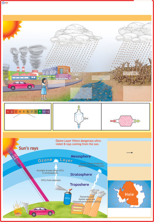 Acid Rain And Ozone Layer Chart