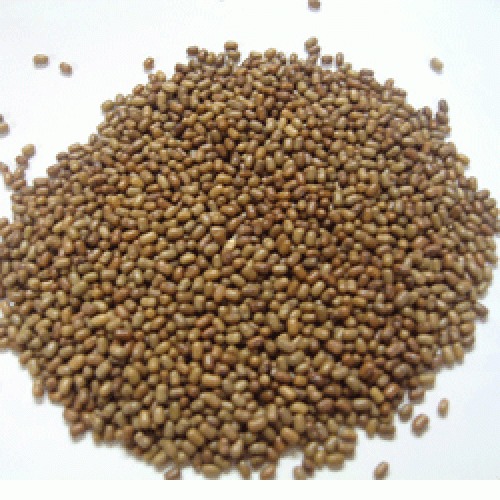Organic Moth Dal