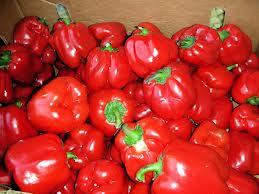 Capcicum