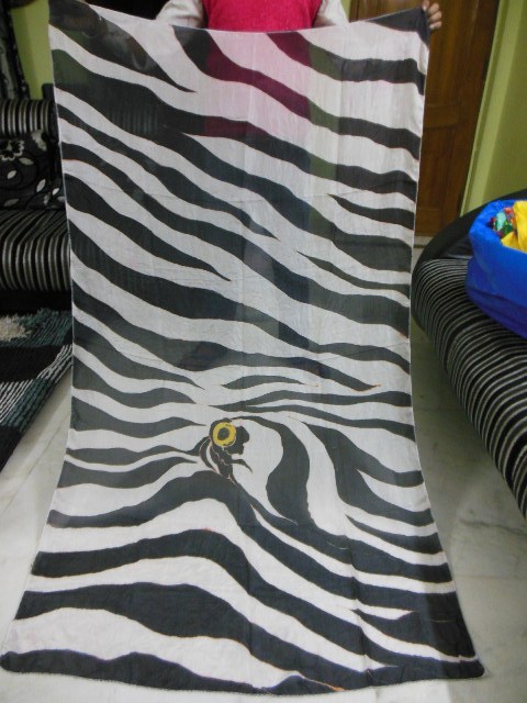 Hand Brush Paintings In Silk Scarfs