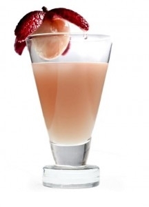 Litchi Soft Drink Concentrate