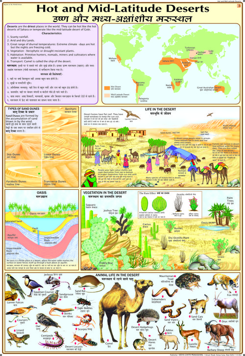 Hot And Mid-Latitude Deserts Chart