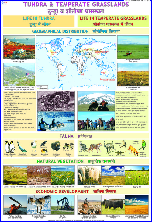 Temperate Grasslands & Tundra Chart