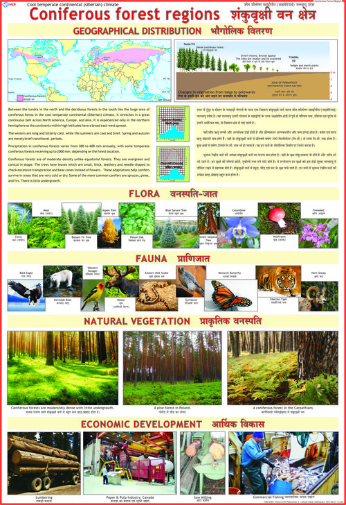 Coniferous Forests Chart