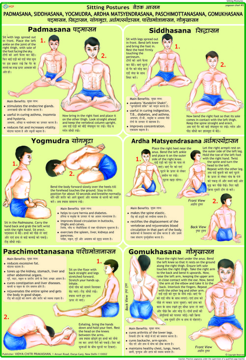 Padmasana, Siddhasana, Yogmudra, Ardha Matsyendrasana, Paschimottanasana, Gomukhasana Chart