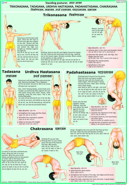 Trikonasana, Tadasana, Urdhva Hastana, Padhastana, Chakrasana Chart