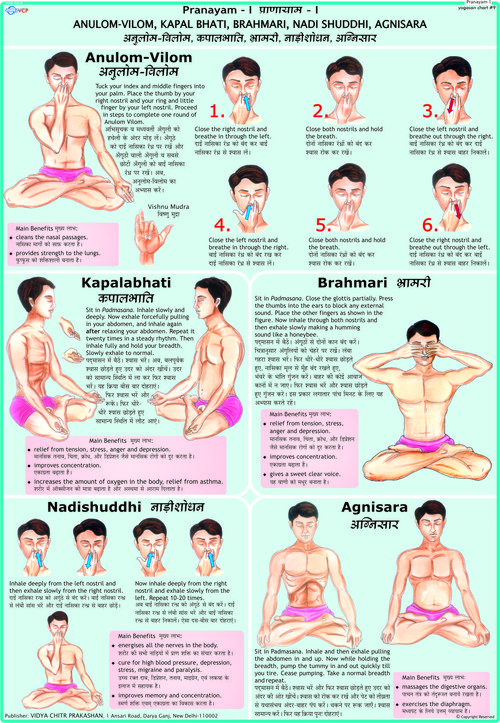 Pranayam 1 - Anulom-Vilom, Kapal Bhati, Brahmari, Nadi Shuddhi, Agnisara Chart