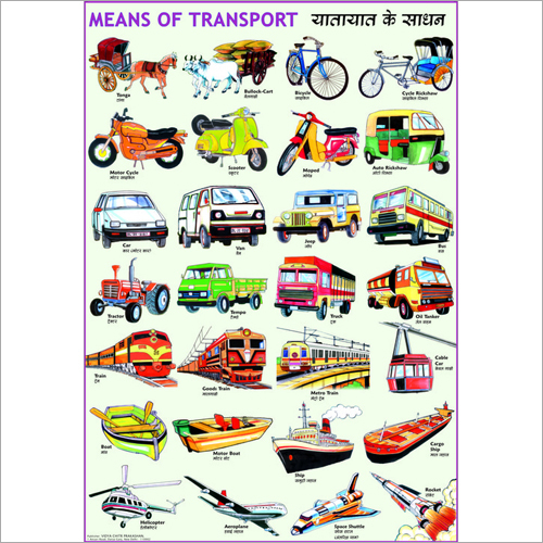 Means Of Transport Chart
