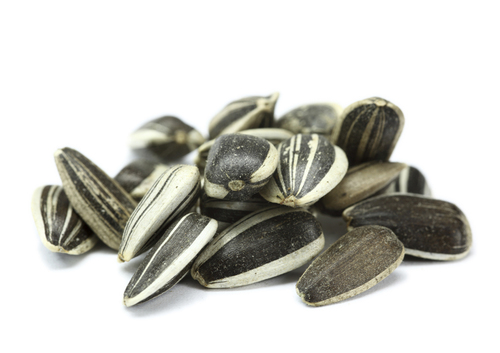 Sunflower Seeds