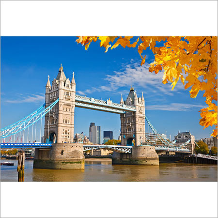 International Holiday Tour Package