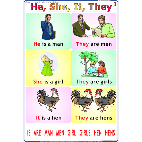 He - She - It - They English Chart
