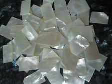 Mosaic Shell Blanks
