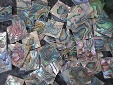 Abalone Shell Tiles