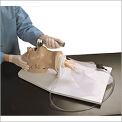 Adult Airway Management Trainer Airway Larry