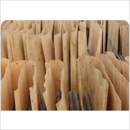 Eucalyptus Core Veneer