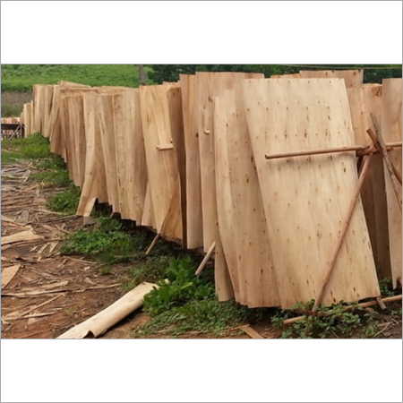 CORE VENEER FOR PLYWOOD