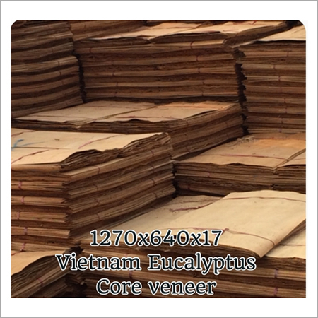Vietnam Eucalyptus Veneer