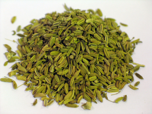 Fennel