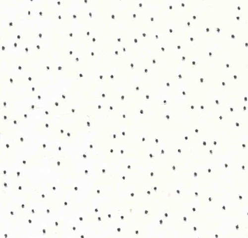 Pinhole Ceiling Tiles