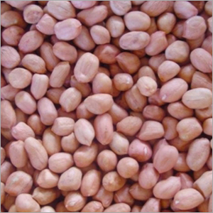 Groundnuts Seeds
