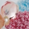Personal Care Fragrances