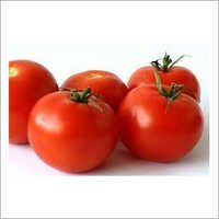 Phytosanitary Certificate For Red Tomatoes