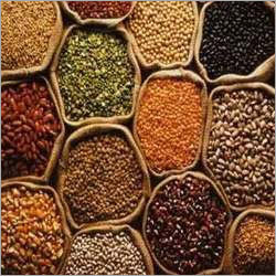 Phytosanitary Certificate For Spices