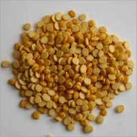 Phytosanitary Certification
