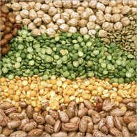 Phytosanitary Certificate For Pulses
