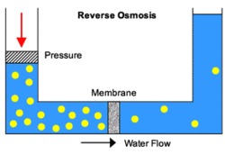 Chlorine Dioxide In Microbial Control In Reverse Application: Industrial