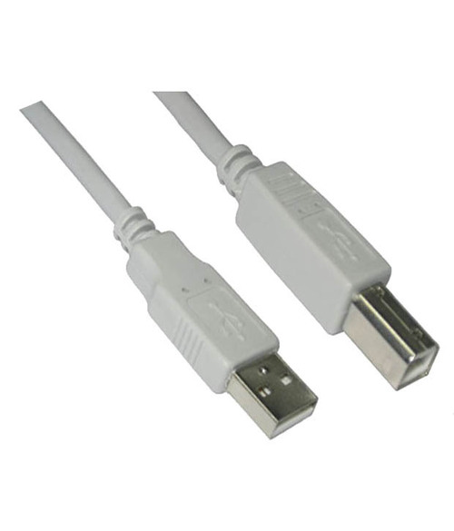 USB AM To BM 2.0 Printer Cable