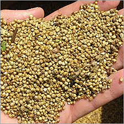 Agro Bazra