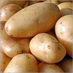 Fresh Potatoes