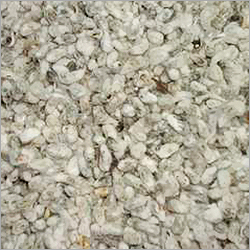 Cotton Seeds