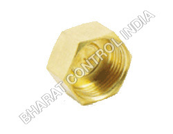 Brass Sanitary Cap