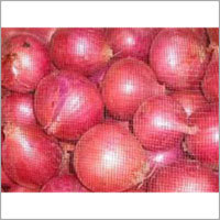 Fresh Onions