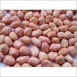 Ground Nut