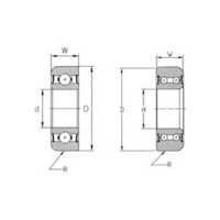 Forklift Bearings